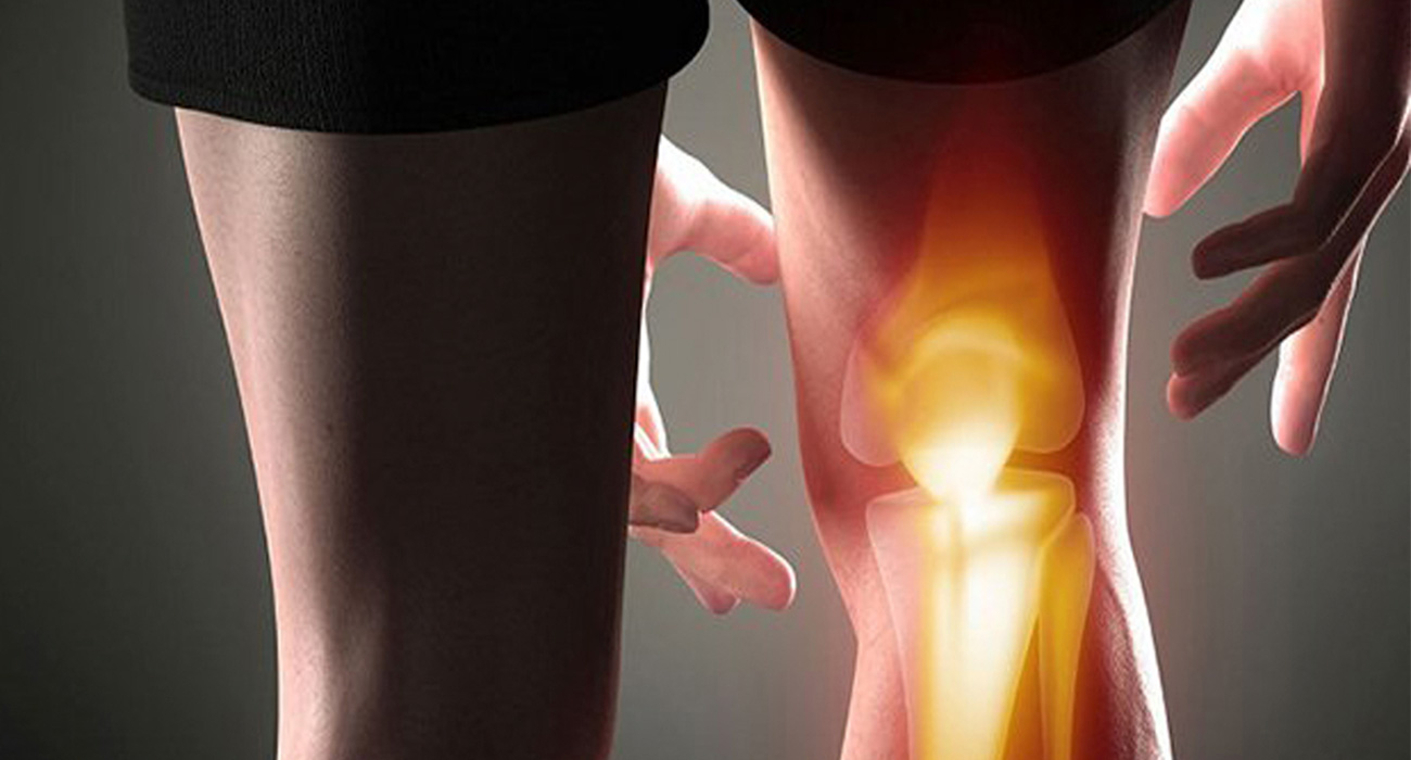 Nutrición y bienestar